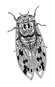 cicada12