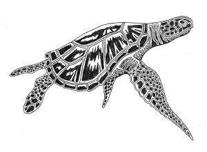 turtle_shaded
